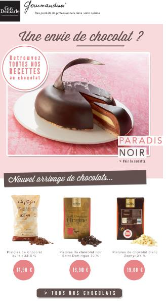 Des pistoles de chocolat ? Pour quoi faire ? - Guy Demarle